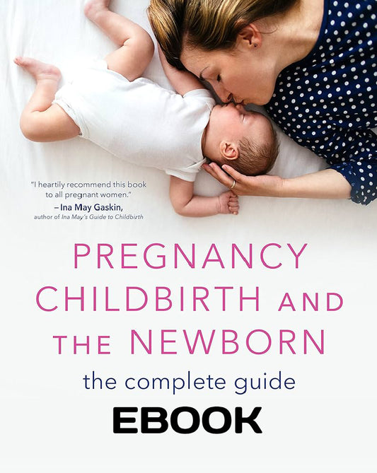 Pregnancy Companion Ebook:A Complete guide to a Healthy Pregnancy